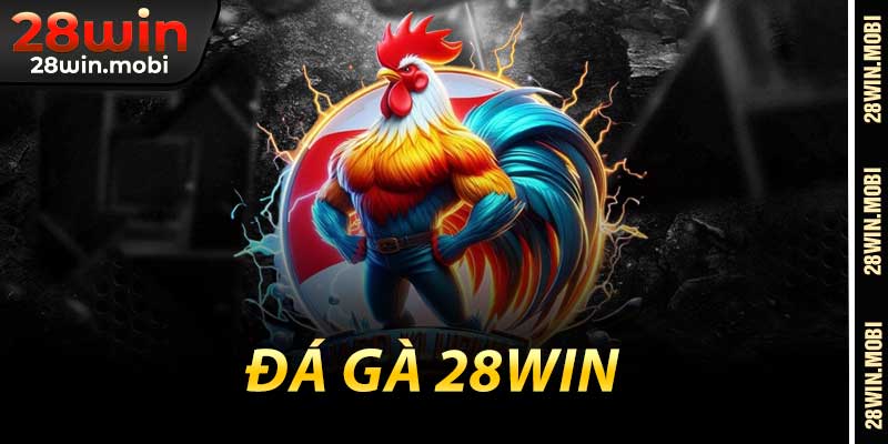 Đá Gà 28win